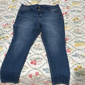 d. jeans Women's Ankle Jeans in Deep Blue